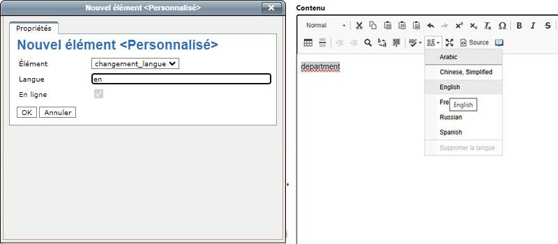 Les CMS ont une fonctionnalité pour ajouter un changement de langue